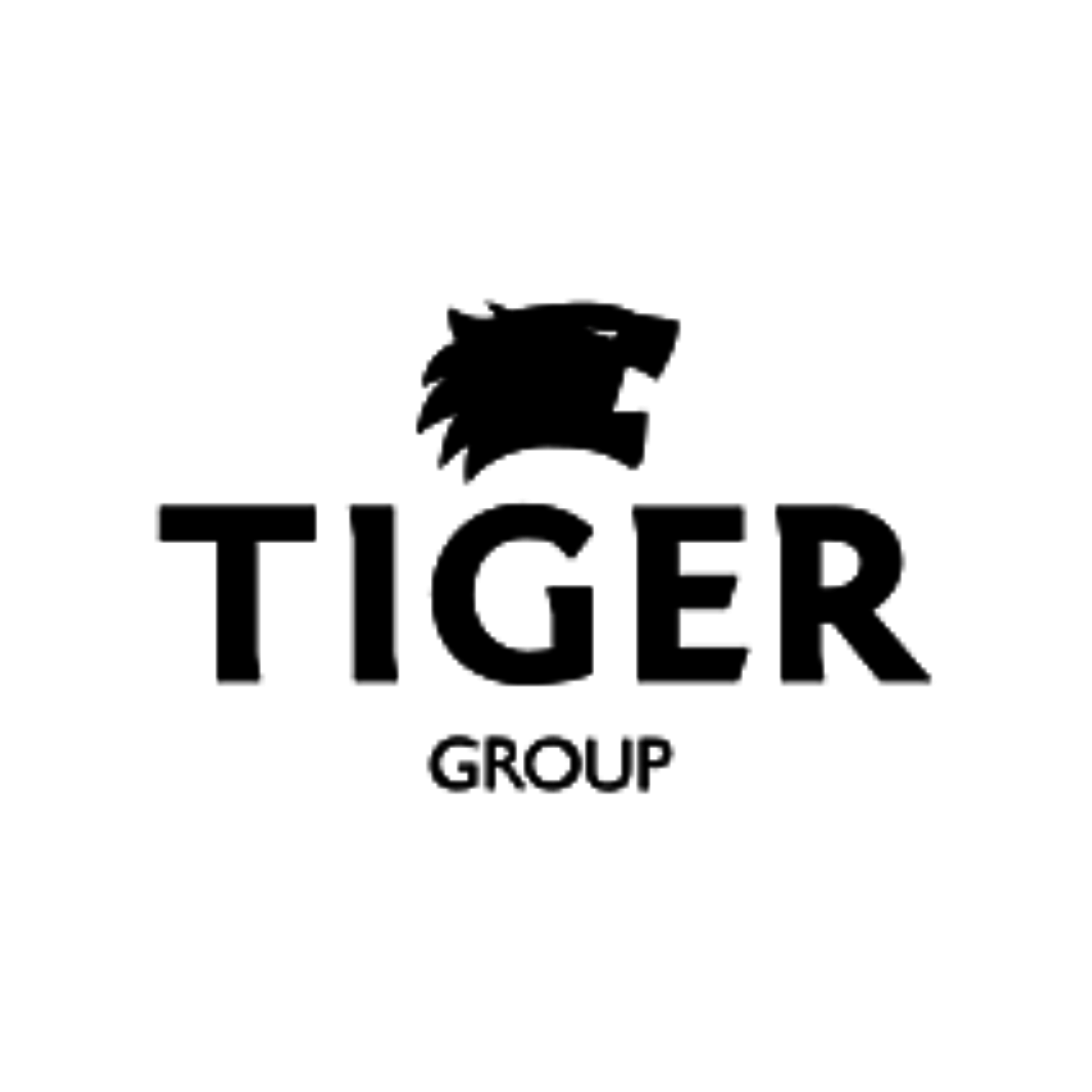 Tiger Group logo.webp